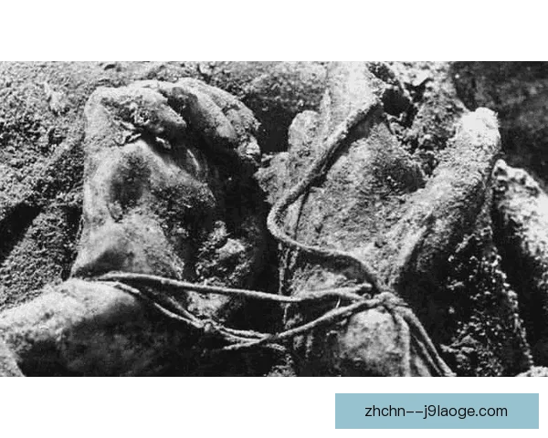 林哈特防线的坚实支柱与战术核心解析 林哈特防线的坚实支柱与战术核心解析